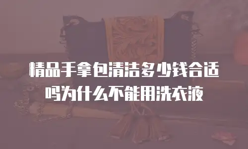 精品手拿包清洁多少钱合适吗为什么不能用洗衣液