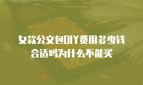 女款公文包DIY费用多少钱合适吗为什么不能买