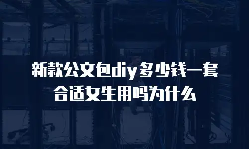 新款公文包diy多少钱一套合适女生用吗为什么