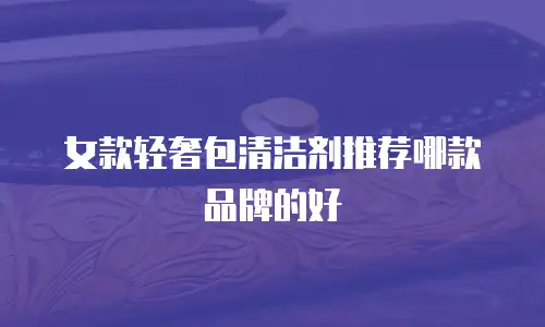 女款轻奢包清洁剂推荐哪款品牌的好