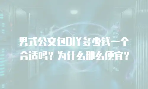 男式公文包DIY多少钱一个合适吗？为什么那么便宜？