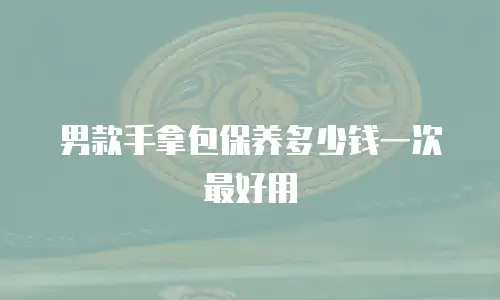 男款手拿包保养多少钱一次最好用