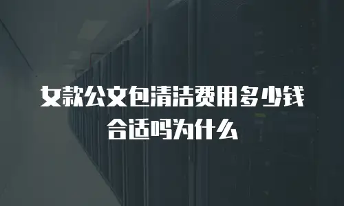 女款公文包清洁费用多少钱合适吗为什么