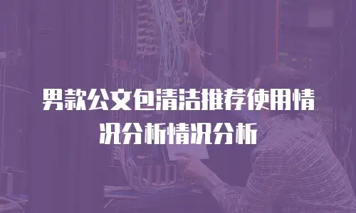 男款公文包清洁推荐使用情况分析情况分析