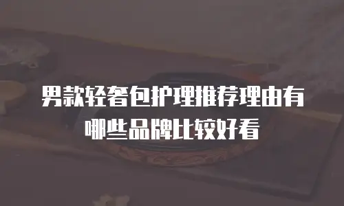 男款轻奢包护理推荐理由有哪些品牌比较好看