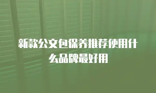 新款公文包保养推荐使用什么品牌最好用