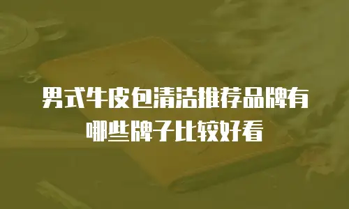 男式牛皮包清洁推荐品牌有哪些牌子比较好看