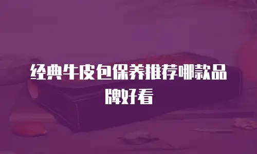 经典牛皮包保养推荐哪款品牌好看