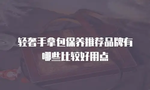 轻奢手拿包保养推荐品牌有哪些比较好用点