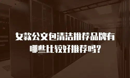 女款公文包清洁推荐品牌有哪些比较好推荐吗？