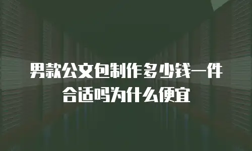 男款公文包制作多少钱一件合适吗为什么便宜