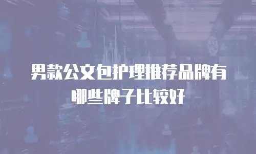 男款公文包护理推荐品牌有哪些牌子比较好
