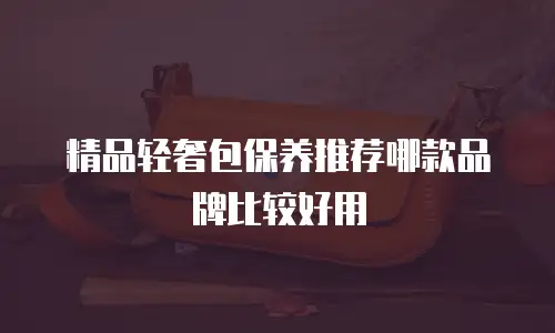 精品轻奢包保养推荐哪款品牌比较好用