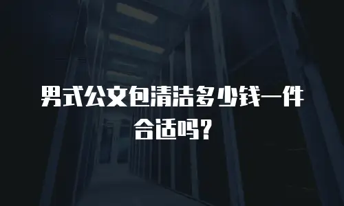 男式公文包清洁多少钱一件合适吗？