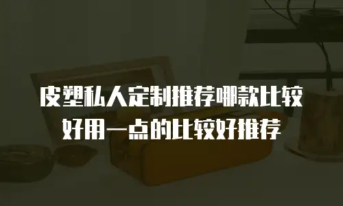 皮塑私人定制推荐哪款比较好用一点的比较好推荐