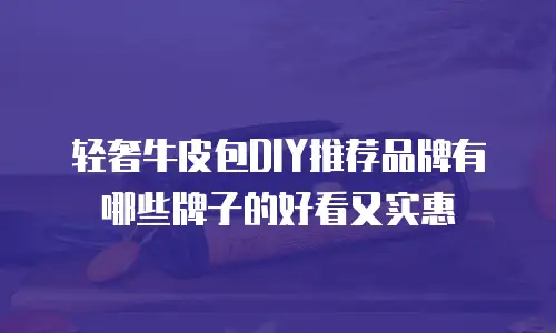 轻奢牛皮包DIY推荐品牌有哪些牌子的好看又实惠