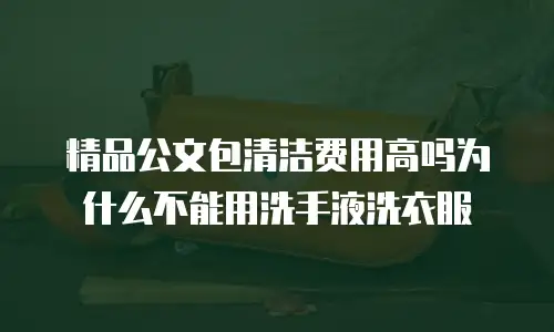 精品公文包清洁费用高吗为什么不能用洗手液洗衣服