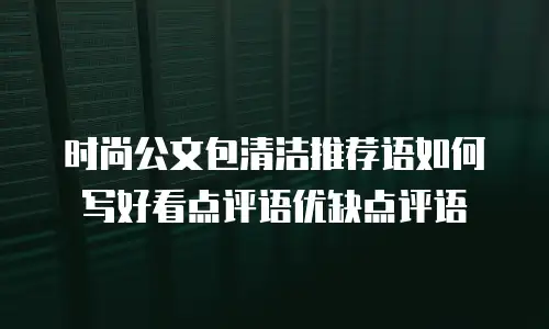 时尚公文包清洁推荐语如何写好看点评语优缺点评语
