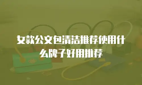 女款公文包清洁推荐使用什么牌子好用推荐