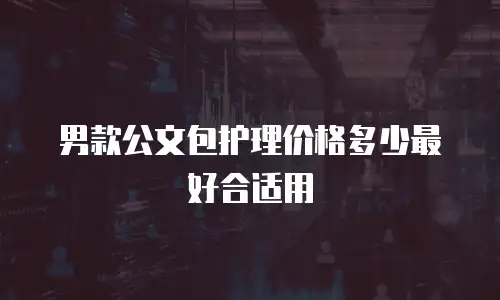 男款公文包护理价格多少最好合适用
