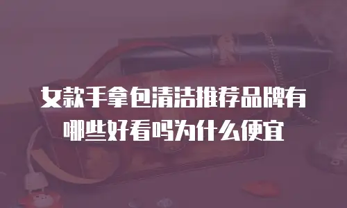 女款手拿包清洁推荐品牌有哪些好看吗为什么便宜
