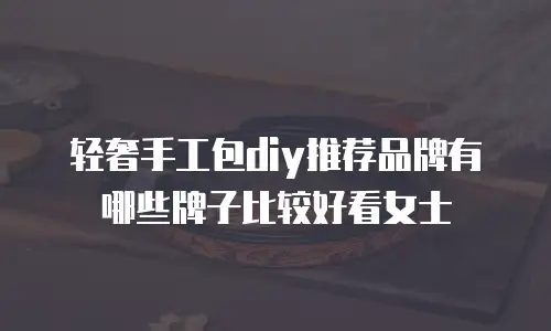 轻奢手工包diy推荐品牌有哪些牌子比较好看女士