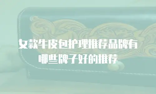 女款牛皮包护理推荐品牌有哪些牌子好的推荐