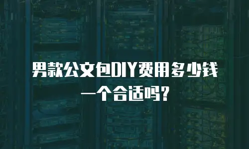 男款公文包DIY费用多少钱一个合适吗？