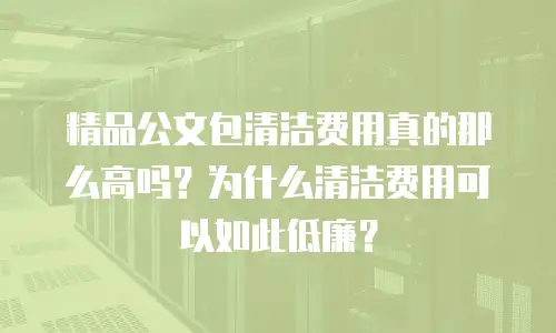 精品公文包清洁费用真的那么高吗？为什么清洁费用可以如此低廉？