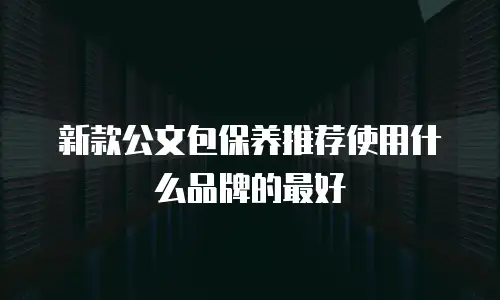 新款公文包保养推荐使用什么品牌的最好