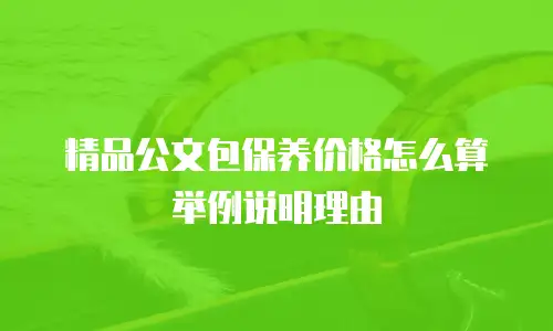 精品公文包保养价格怎么算举例说明理由