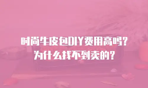 时尚牛皮包DIY费用高吗？为什么找不到卖的？