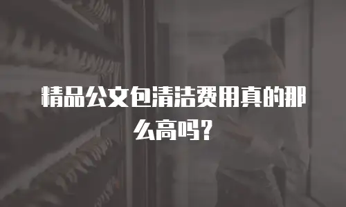 精品公文包清洁费用真的那么高吗？