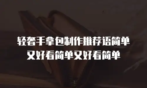 轻奢手拿包制作推荐语简单又好看简单又好看简单