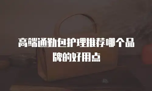 高端通勤包护理推荐哪个品牌的好用点