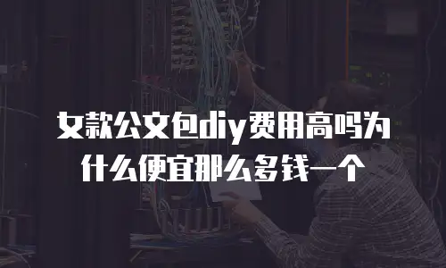 女款公文包diy费用高吗为什么便宜那么多钱一个