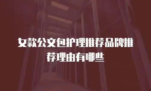 女款公文包护理推荐品牌推荐理由有哪些