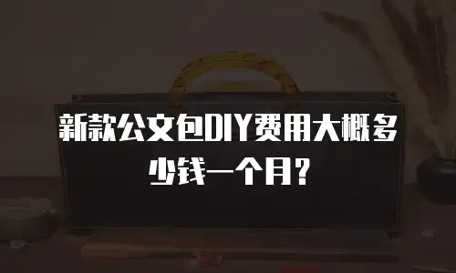 新款公文包DIY费用大概多少钱一个月？