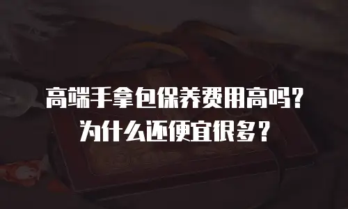 高端手拿包保养费用高吗？为什么还便宜很多？