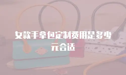 女款手拿包定制费用是多少元合适