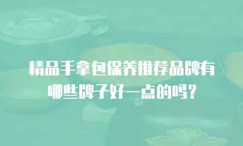 精品手拿包保养推荐品牌有哪些牌子好一点的吗？