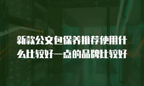 新款公文包保养推荐使用什么比较好一点的品牌比较好