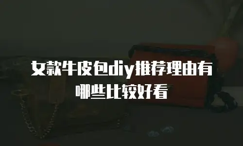 女款牛皮包diy推荐理由有哪些比较好看