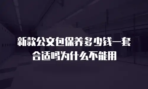 新款公文包保养多少钱一套合适吗为什么不能用