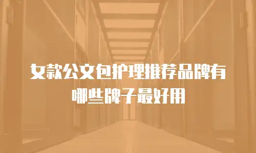 女款公文包护理推荐品牌有哪些牌子最好用