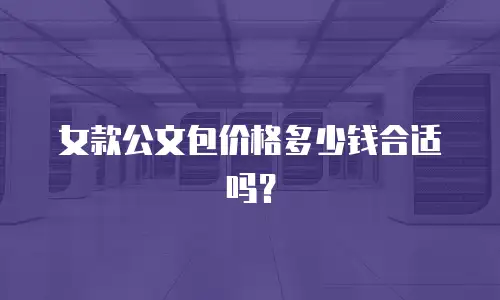女款公文包价格多少钱合适吗？
