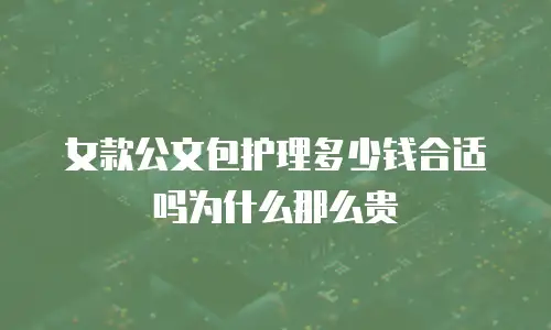 女款公文包护理多少钱合适吗为什么那么贵