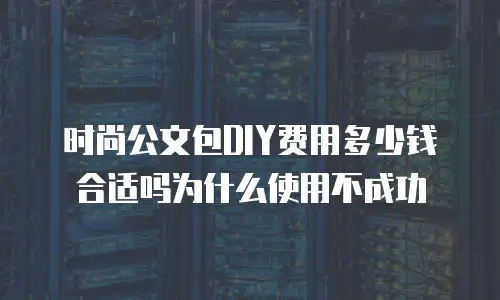 时尚公文包DIY费用多少钱合适吗为什么使用不成功