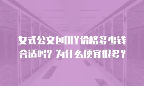 女式公文包DIY价格多少钱合适吗？为什么便宜很多？