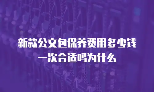 新款公文包保养费用多少钱一次合适吗为什么